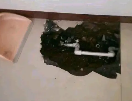 浑江卫生间测漏水多少钱